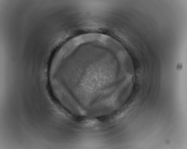 X0000100950642200807221122