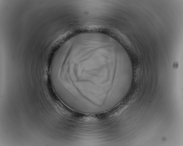 X0000100950644200807221122