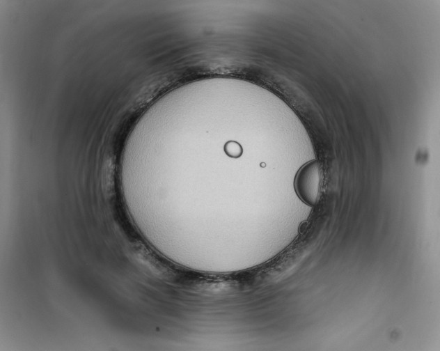 X0000100950646200807221122