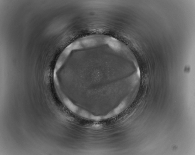 X0000100950647200807221122