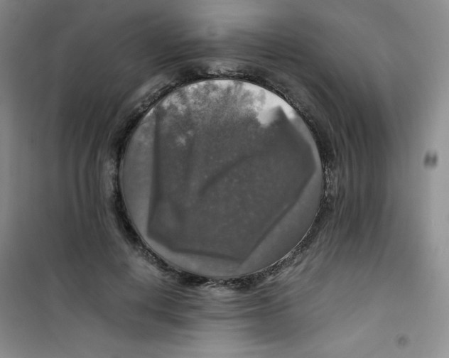 X0000100950648200807221122