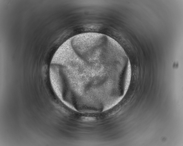 X0000100950649200807221122