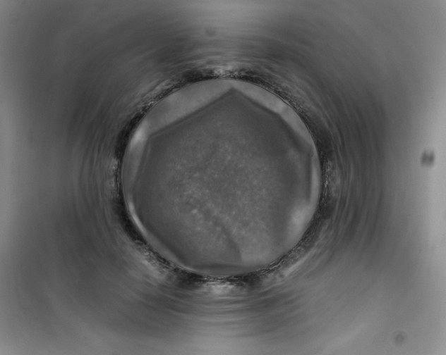 X0000100950650200807221122