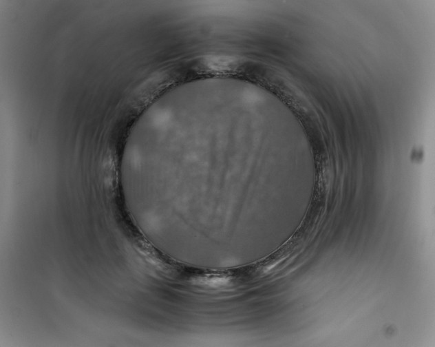 X0000100950651200807221122