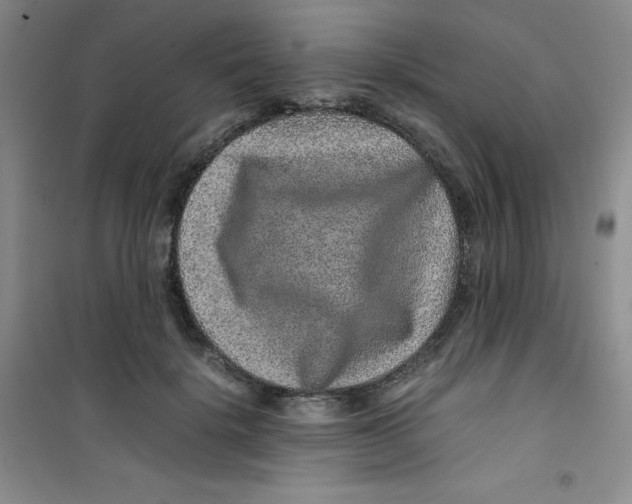 X0000100950652200807221122