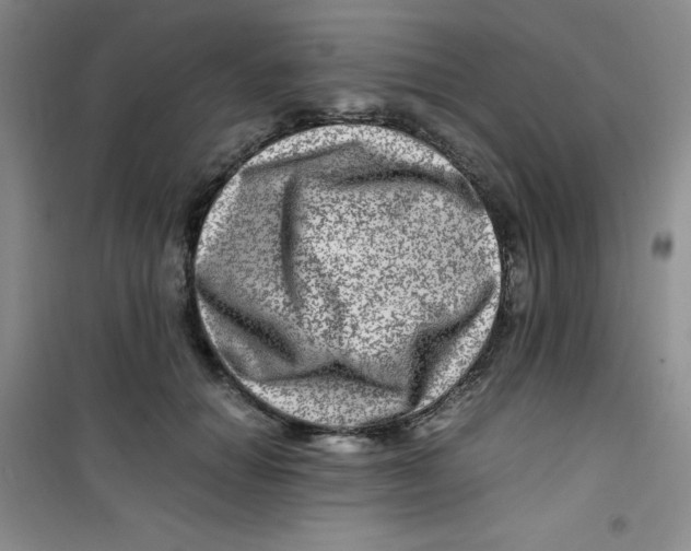 X0000100950654200807221122