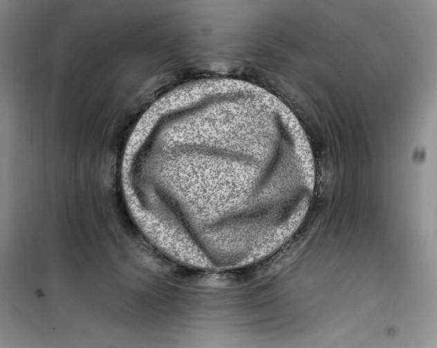 X0000100950656200807221122