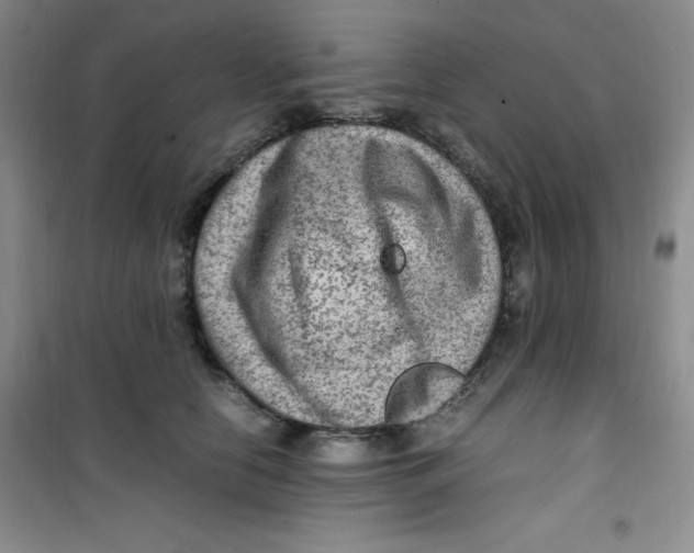 X0000100950658200807221122