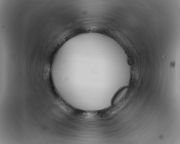 X0000100950660200807221122