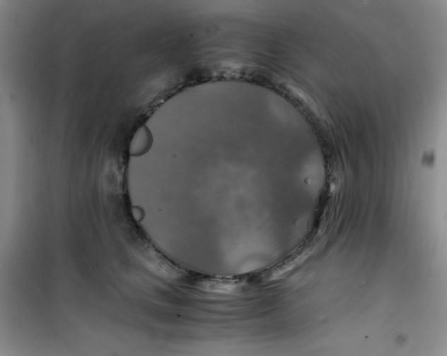 X0000100950661200807221122