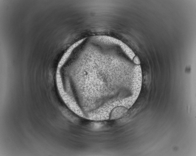 X0000100950662200807221122