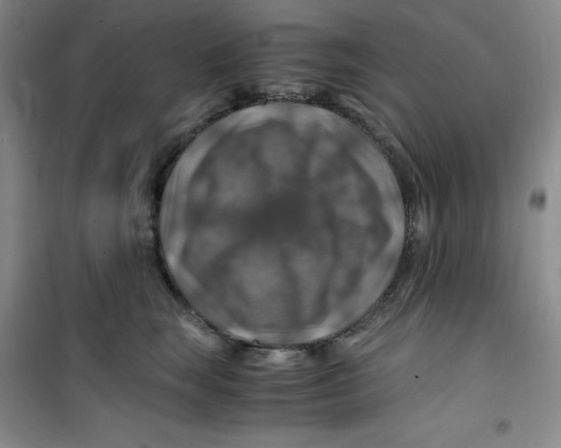 X0000100950663200807221122