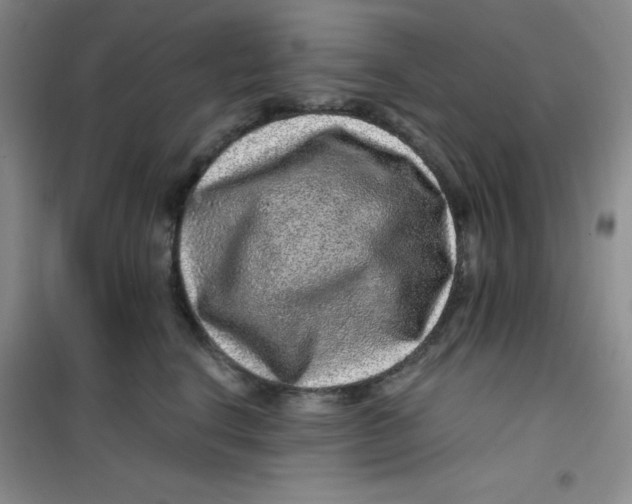 X0000100950664200807221122