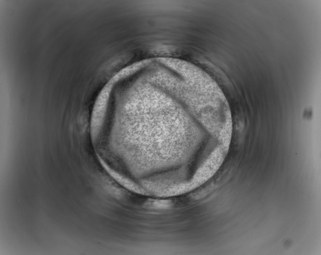 X0000100950665200807221122