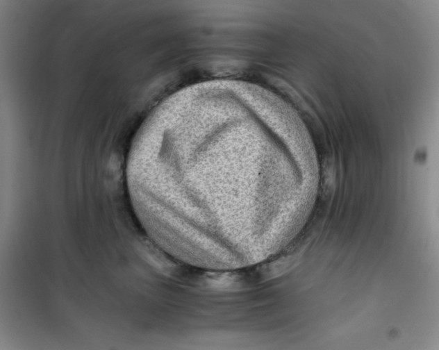 X0000100950667200807221122