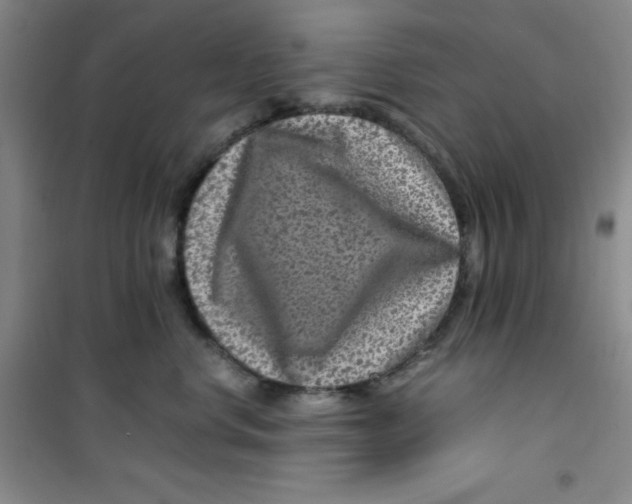 X0000100950668200807221122