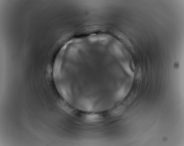 X0000100950669200807221122