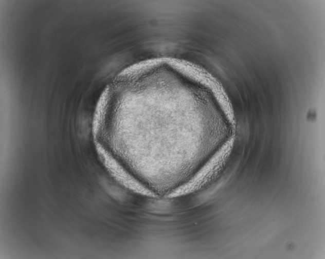 X0000100950671200807221122