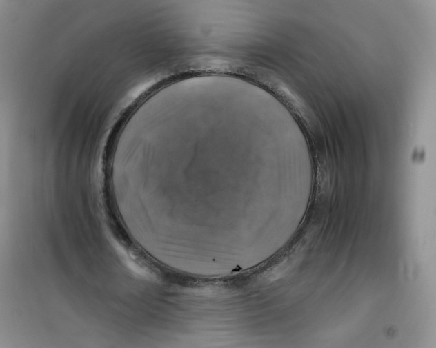 X0000100950674200807221122