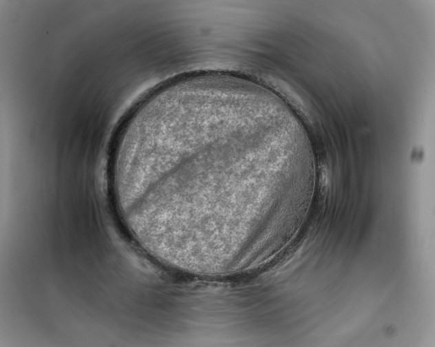 X0000100950676200807221122