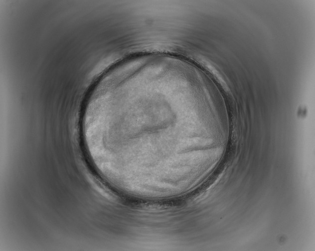 X0000100950677200807221122