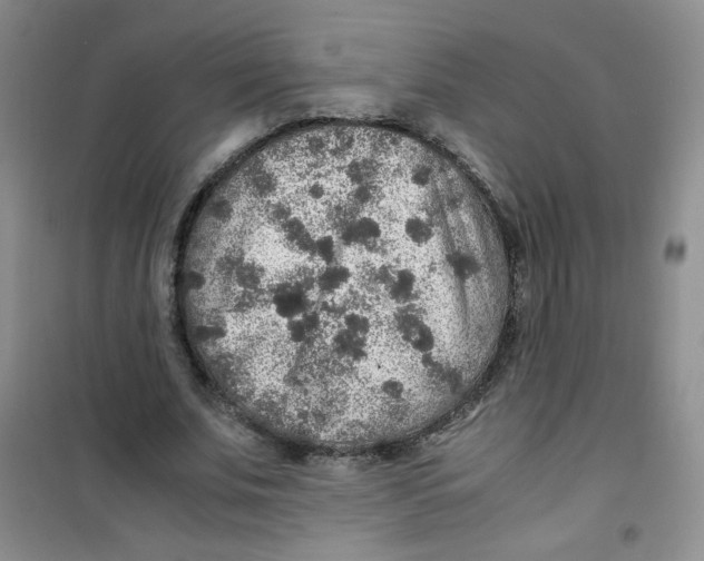 X0000100950679200807221122