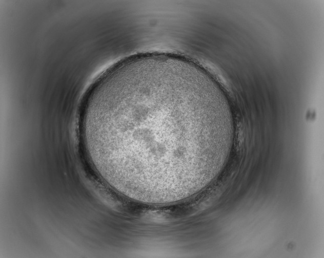 X0000100950680200807221121