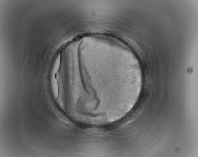 X0000100950681200807221121