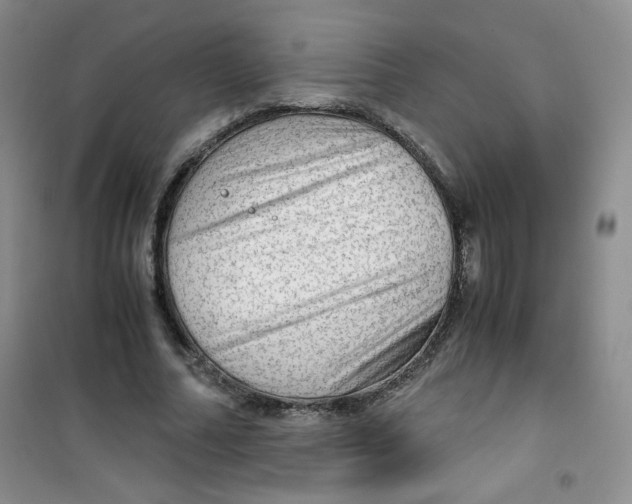 X0000100950682200807221121