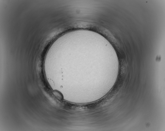 X0000100950683200807221121