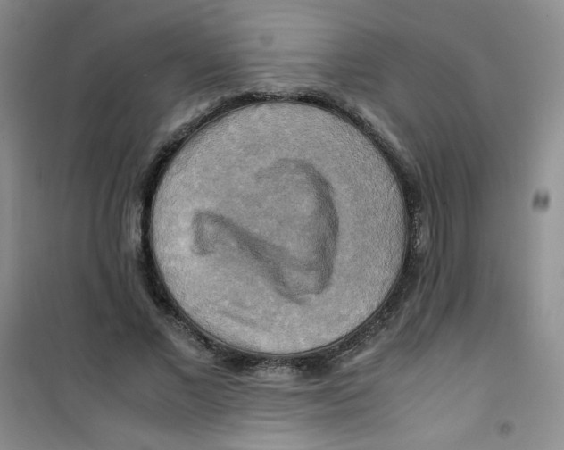 X0000100950685200807221121