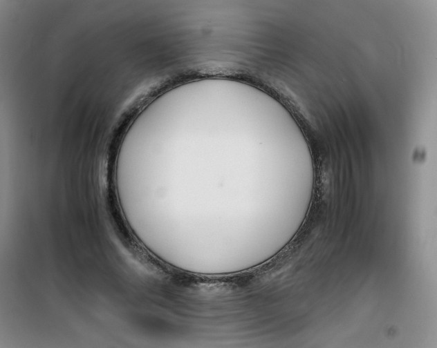 X0000100950686200807221121