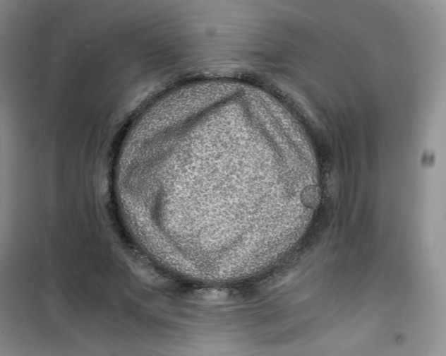 X0000100950687200807221121