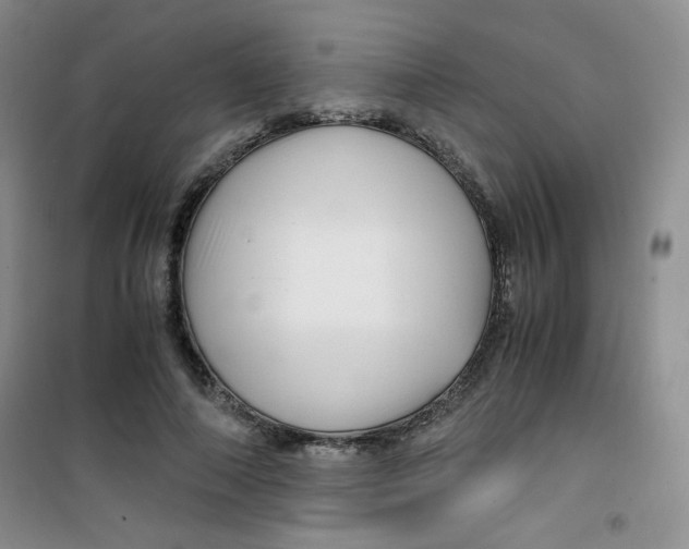 X0000100950690200807221121