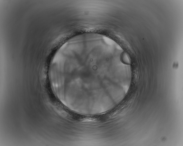 X0000100950691200807221121