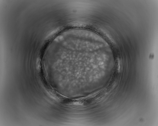 X0000100950692200807221121