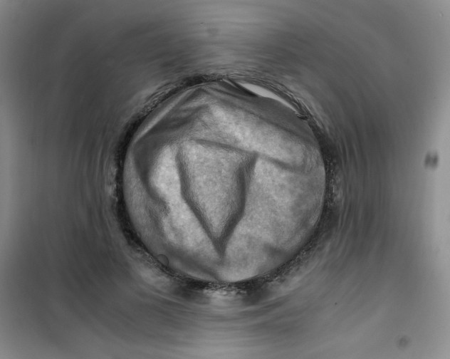 X0000100950693200807221121