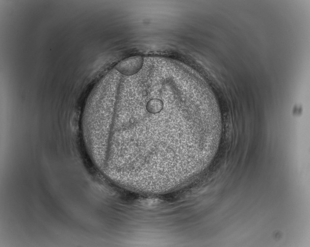 X0000100950695200807221121