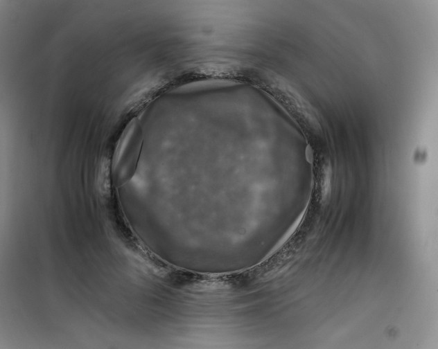 X0000100950696200807221121