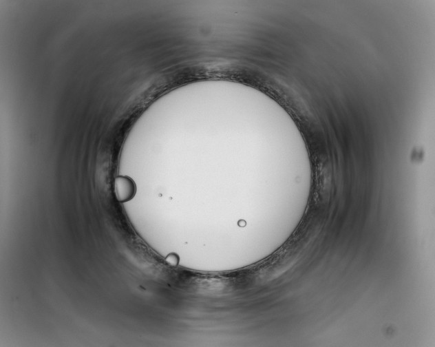 X0000100950698200807221121