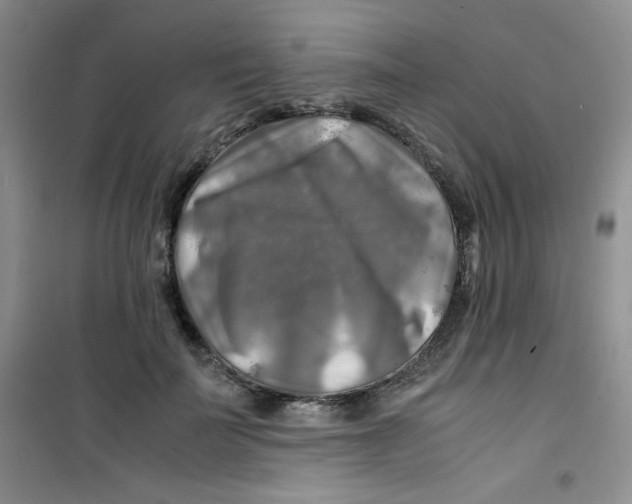 X0000100950699200807221121