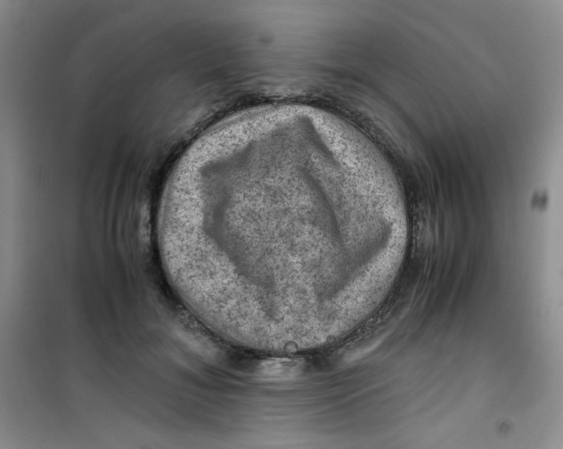 X0000100950700200807221121