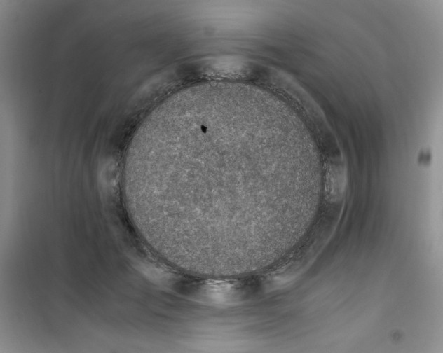 X0000100950701200807221121