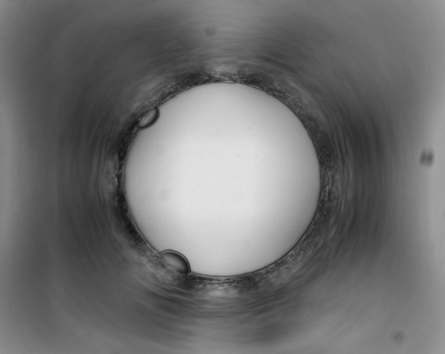 X0000100950702200807221121