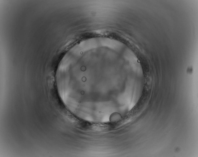 X0000100950707200807221121