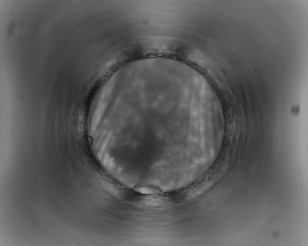 X0000100950708200807221121