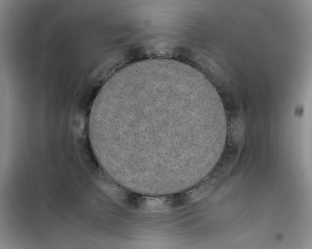 X0000100950709200807221121