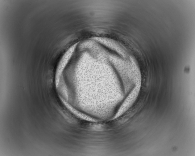 X0000100950710200807221121