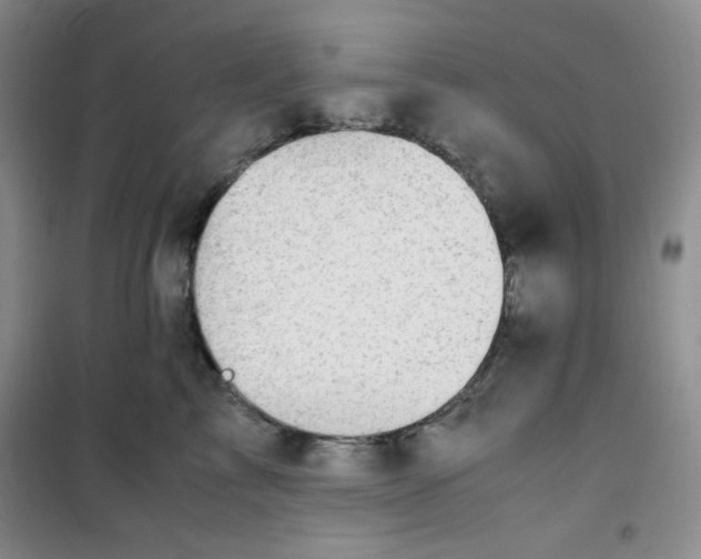 X0000100950713200807221121