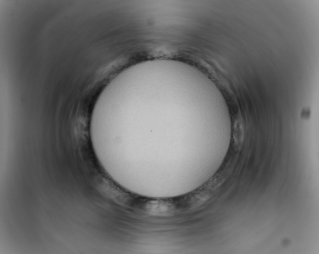 X0000100950714200807221121